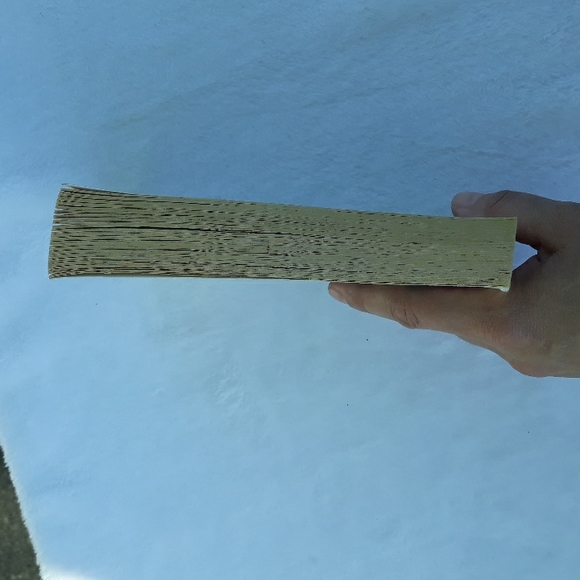 The Jury, a paperback book written by Fern Michaels 2006 - Picture 4 of 6